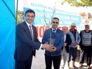 Sarıgöl’de çiftçilere zeytin desteği