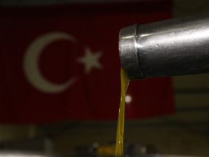 Zeytinin verimi çok yağı az