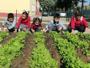 Zil çalınca oyuna değil hobi bahçelerine koşuyorlar