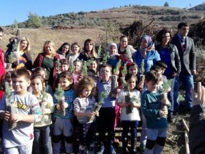 Böyle 24 Kasım hediyesi görülmedi