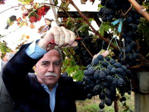 AK Partili Berber’den çiftçi borçlarına yapılandırma müjdesi