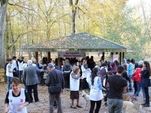 Öğrenci ve öğretmenler, ’spor diyabeti yener’ sloganıyla Belgrad Ormanı’nda koştu