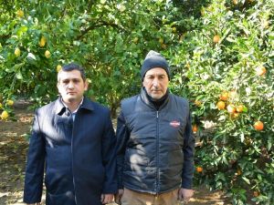 Dalaman Ziraat Odası Başkanı Tuncay; “Üretimin Maliyeti Yüksek”