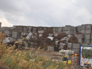 Çiftçilerin derdi, enerjiye dönüyor