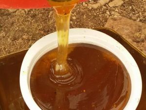 Gerçek bal hakkında bilinmeyenler