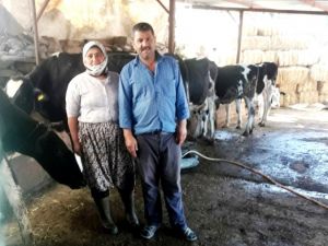 Sarıgöl’de çiftçinin yüzünü güldüren proje