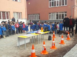 Öğrenciler narkotik köpeği ’Vicdan’ı çok sevdi