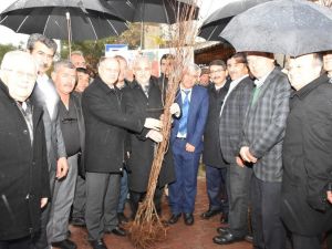 Şehzadeler’de 85 çiftçiye 7 bin fidan desteği