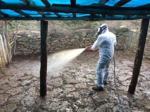 Küçükbaş hayvanlarda enfeksiyona karşı ilaçlama