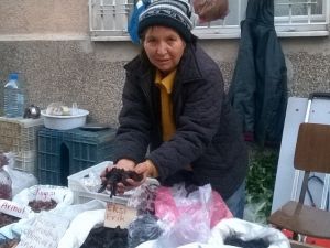 Meyve kurusu satarak mutfağına katkı sağlıyor