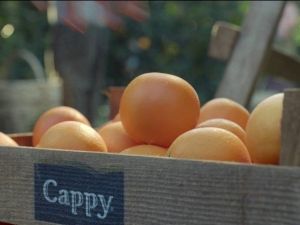 Cappy’nin yeni reklam filmi yayına girdi