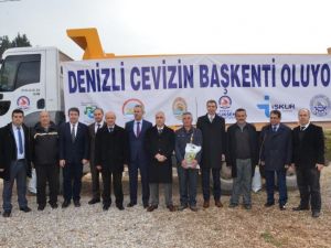 Denizli’de 20 bin adet ceviz fidanı dağıtıldı