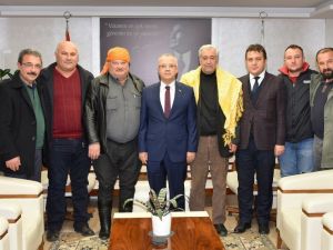 Salihli’de deve güreşi hazırlıkları başladı