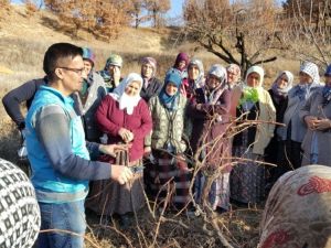 İlçenin yarısı kurs gördü