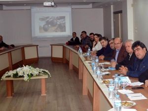 Salihlili zeytinciler markalaşma arayışında