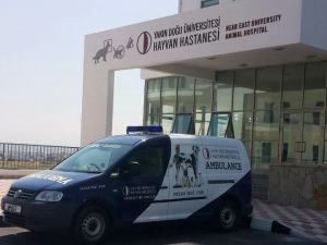 Hayvan Hastanesi 3 yaşında