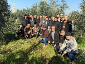 Dokuz mahallede zeytin budama eğitimi