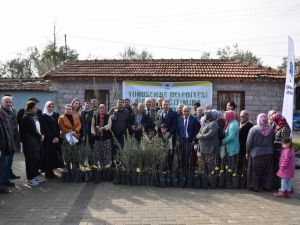 Üreticiler belediyenin fidanları ile kalkınacak