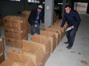 Gördes’te tütün piyasası açıldı