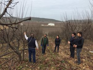 Salihli’de çiftçi eğitim faaliyetlerine hız verildi