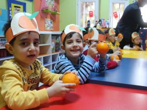 Vitamin dolu örnek proje