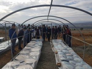 Tarım Lisesi öğrencilerine uygulamalı eğitim