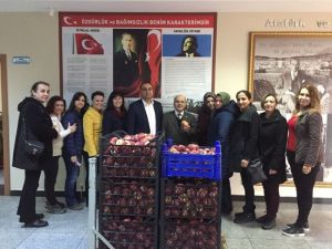 Ara öğünün önemine dikkat çekmek için 240 kilo elma dağıttılar
