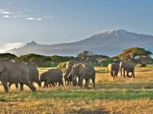 Prof. Dr. Öztürk, dört kıtada çektiği yaban fotoğraflarını metroda sergileyecek