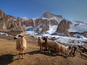 Çeşmeli fotoğrafçılar Van’dan muhteşem fotoğraflarla döndü