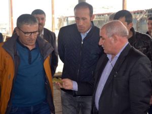 Genel Müdürden tütün firmalarına uyarı