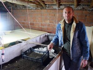 Kanserden korunmak için solucan gübresi üretiyor