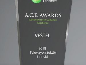 Vestel Müşteri Hizmetleri’ne Mükemmel Müşteri Deneyimi ödülü