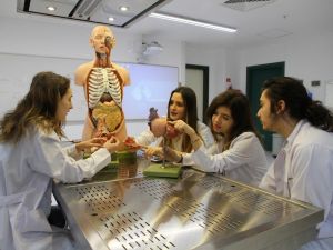 Daha sağlıklı eller için doktorlara kurs