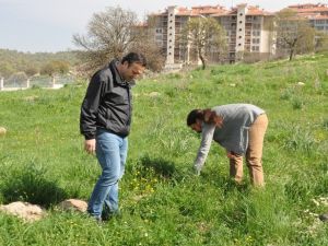 Üniversite kampüsündeki kazılar tarihe ışık tutacak