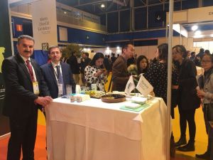Türk zeytin ve zeytinyağı İspanya’da görücüye çıktı
