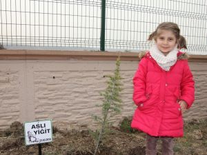 Devlet Ana Anaokulu öğrencilerinden hatıra ormanı