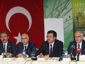 Bakan Zeybekci: “Türkiye dünya kuru üzüm ticaretinin yüzde 25’ini yapıyor”