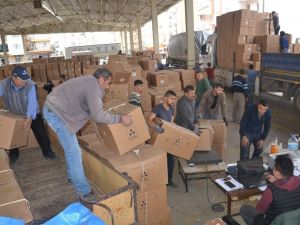 Saruhanlı’da tütün üreticileri fiyatlardan şikayetçi