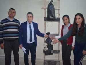 Okulun bodrum katında mantar yetiştirdiler