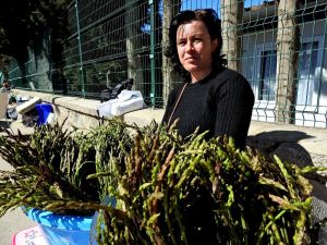 9. Alaçatı Ot Festivali’nin teması: ’Kuşkonmaz - Sarmaşık’