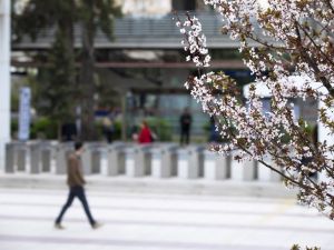 Baharın tadını çıkarmak için bu önerileri dikkate alın