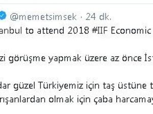 Başbakan Yardımcısı Şimşek, "Göreve devam" dedi