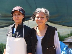 Doğaya zarar vermeden para kazanıyorlar