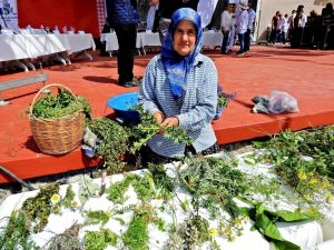 Alaçatı Ot Festivali sona erdi