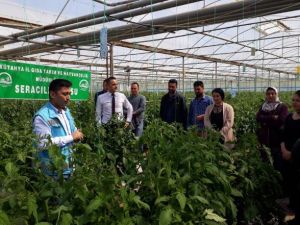 Kursiyerlere uygulamalı eğitim