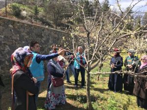 Meyvecilik kursiyerleri sahaya indi