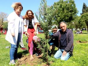 Kanseri yendi, hastane bahçesine çam dikti