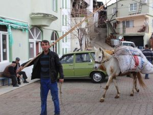Akaryakıt zamlarından sonra at ve eşekler yeniden kıymete bindi