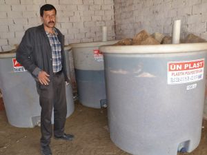 Zeytin üreticisi umduğunu bulamadı