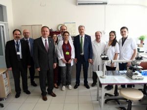 Hemofili’de tedavi alternatifleri giderek artıyor